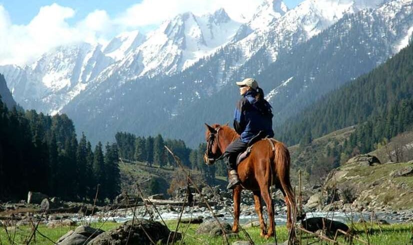 horse riding   pahalgam  horse riding jk2