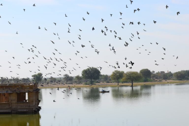 #image_title #breadcrumb_separator #attachment_caption #breadcrumb_separator #alt_tag