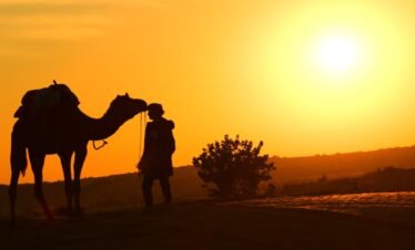 Rajasthan Road Trip