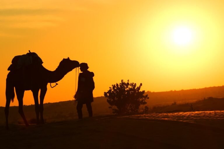 #image_title #breadcrumb_separator #attachment_caption #breadcrumb_separator #alt_tag