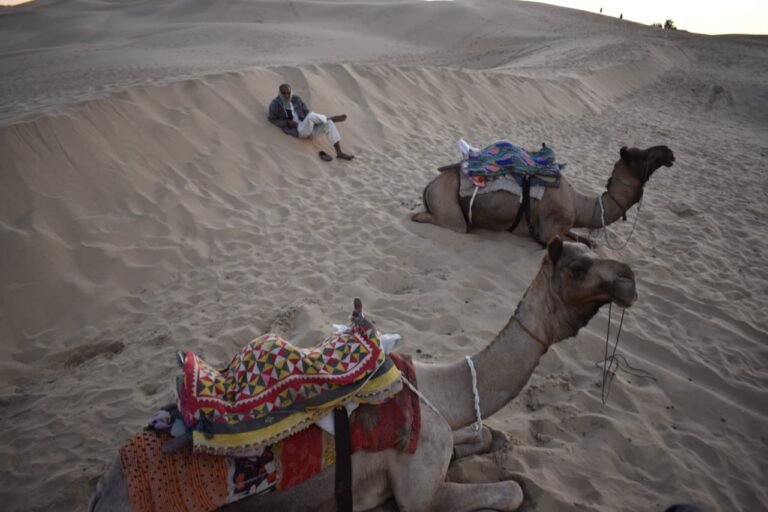 #image_title #breadcrumb_separator #attachment_caption #breadcrumb_separator #alt_tag